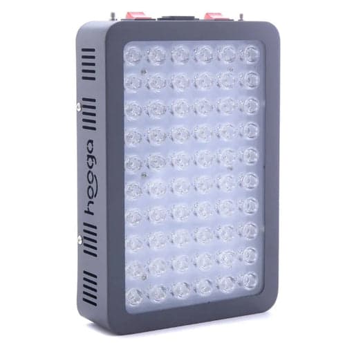 Hooga vs Mito Red Light Panels: Which Offers Better Value for At-Home Therapy in 2026?