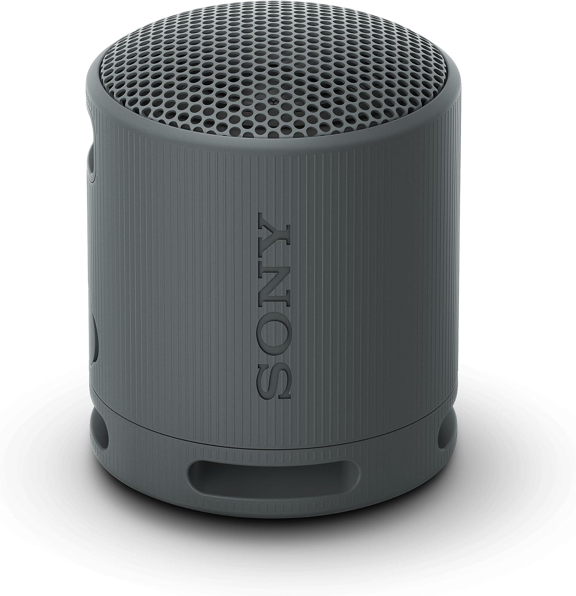 Sony SRS-XB100 Portable Wireless Speaker