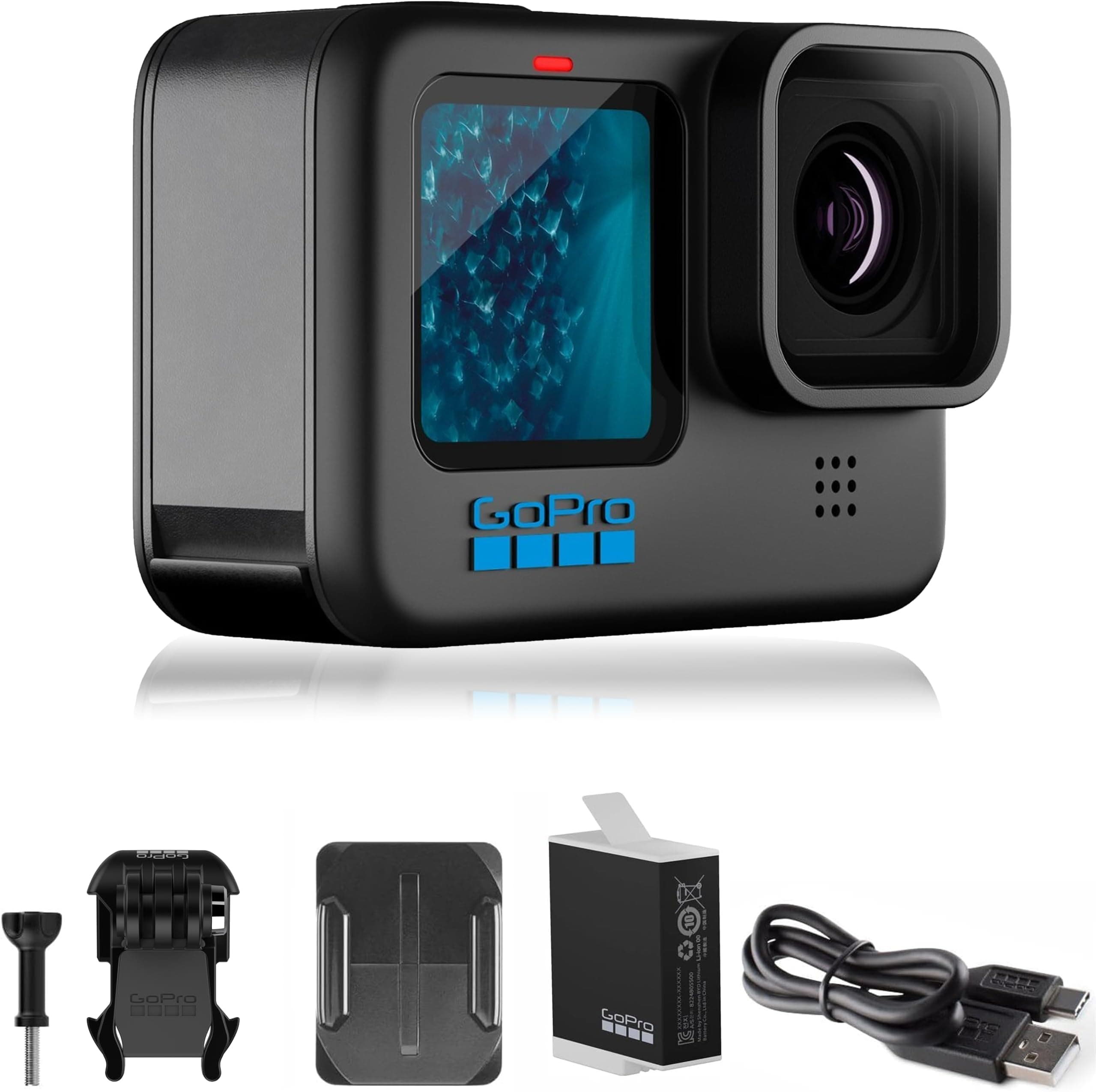GoPro HERO11 Black Mini