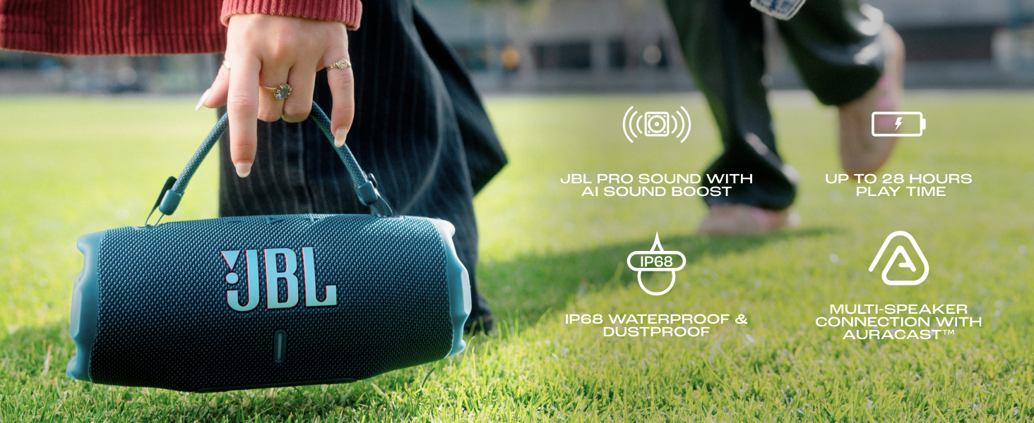 JBL Outdoor Speaker