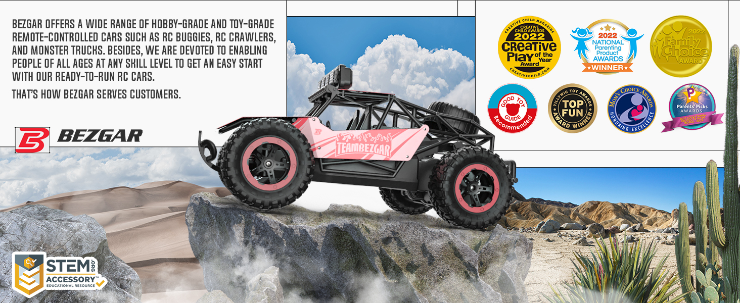 Bezgar TB201 RC Stunt Car